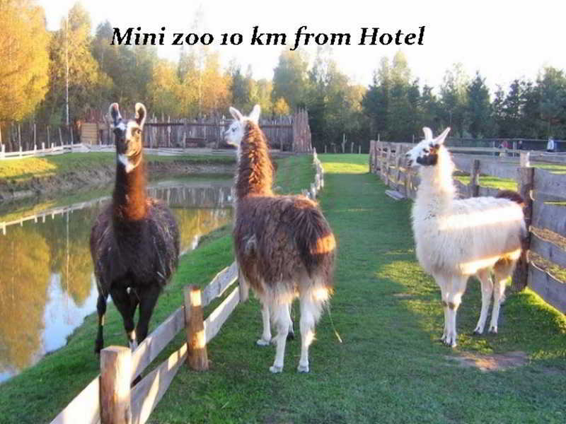Hotel Pajurio Vieskelis Κλαϊπέντα Εξωτερικό φωτογραφία